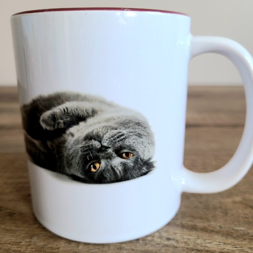 ''The best therapist has fur and four legs'' cat mug. - Picture 2 of 7